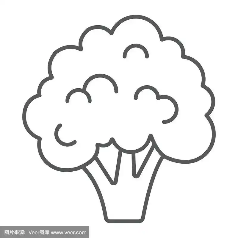 西兰花细线图标,蔬菜和饮食,素食标志,矢量图形,白色背景上的线性图案