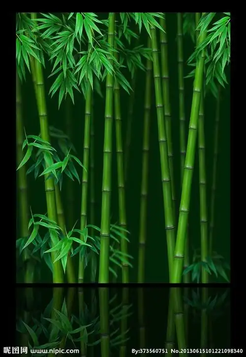 梅兰竹菊"四君子"之《绿竹》