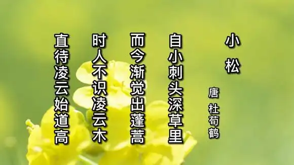 唐诗三百首,你记得几首?【小松 】唐 杜荀鹤-母婴亲子视频-搜狐视频