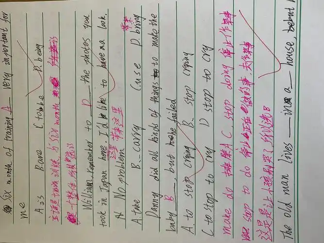 d层英语优秀作业展示