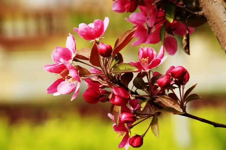 走进四月的春光,给心灵洗个澡,放松自己紧张的灵魂,给春天一个拥抱!