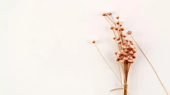 六张简约清新花束ppt背景图片