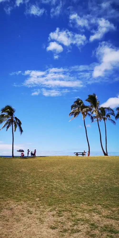 享受夏威夷的阳光沙滩