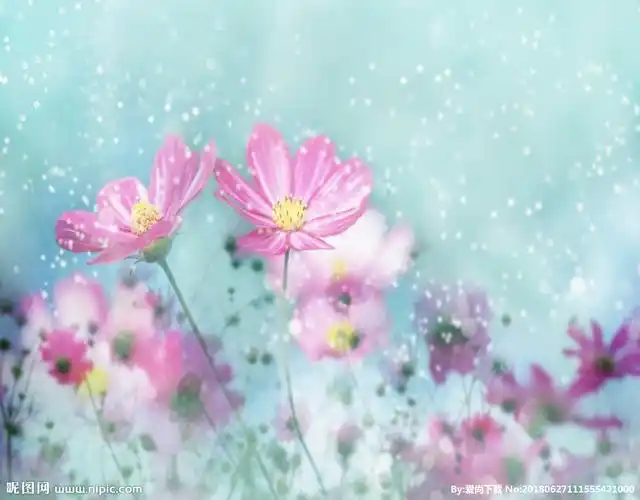 花素材背景花纹花边图片