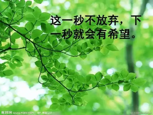 执着与坚强,让生命有了重生的机会