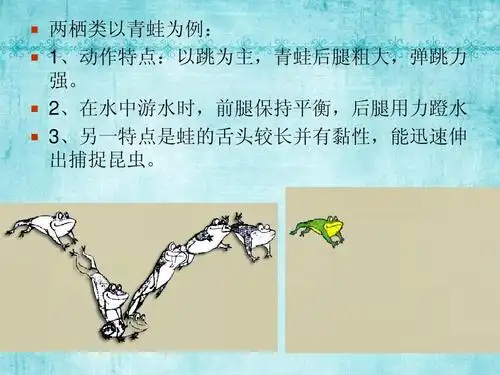 原画设计——动画运动规律_动物运动ppt