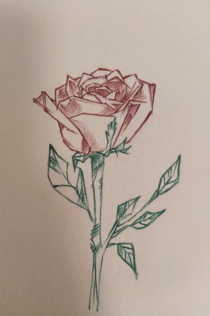 "玫瑰花会一直盛开"#绘画临摹#冰糖煮庭婷#绘画步骤 - 抖音