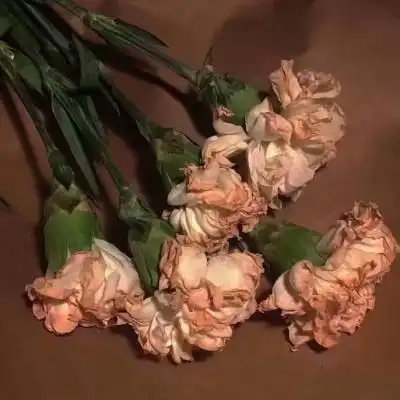 适合父母头像的图片 微信头像图片大全 -【爱个性】