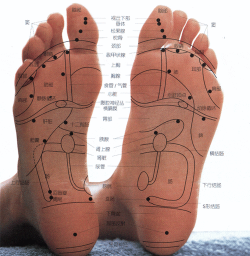 千里之行始于足下论足部健康的重要性