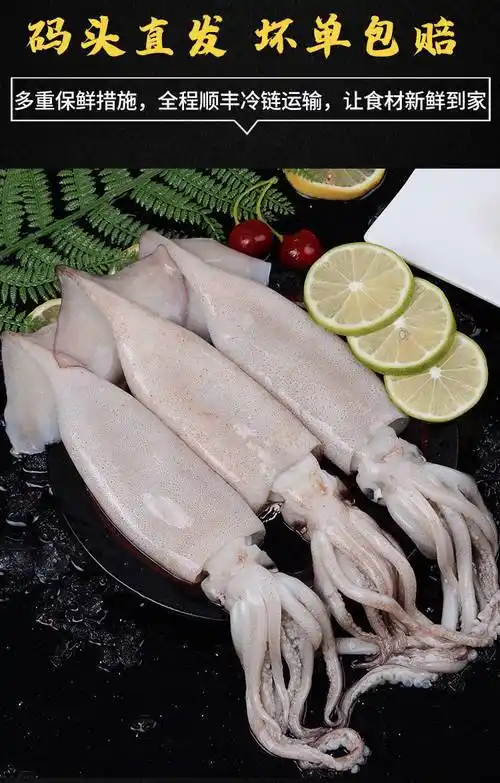 特大鱿鱼鲜活深海捕冷冻水产新鲜大鱿鱼尤鱼整条烧烤批发5斤优选大号