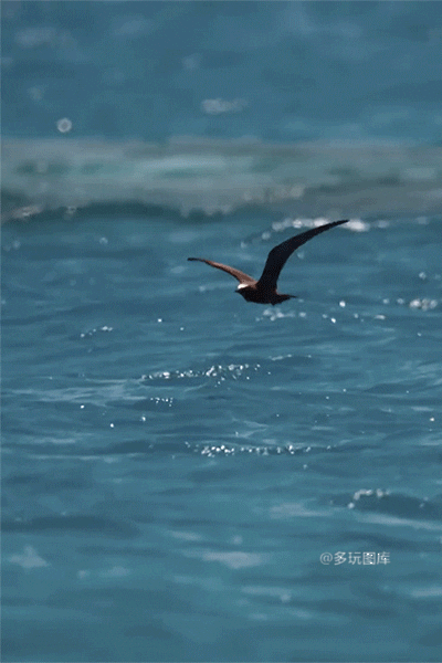 400_600竖版 竖屏gif 动态图 动图