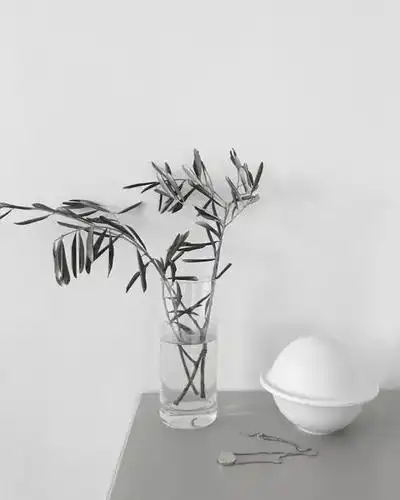 壁纸简约ins性冷淡