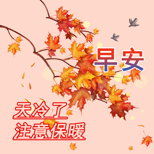 12月2日早上好朋友,漂亮冬日天冷了关心问候早安图片带祝福语_生活