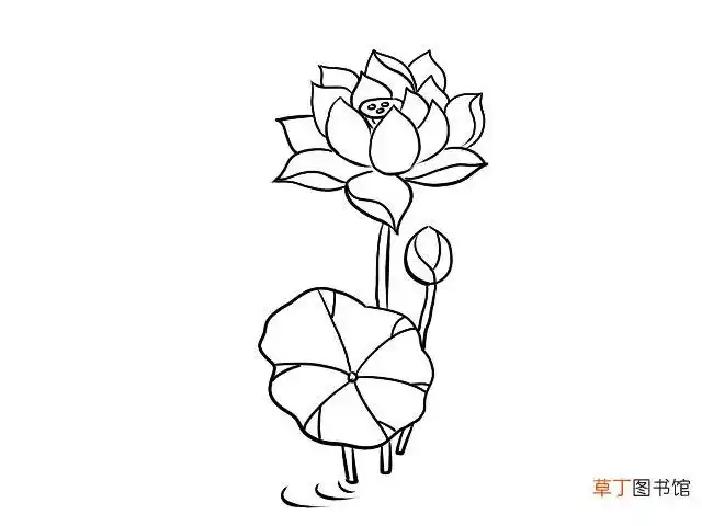 荷花简笔画 荷花简笔画画法