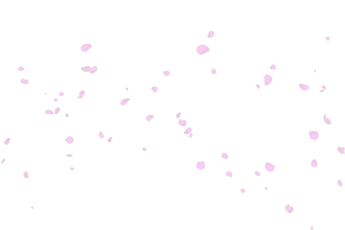 花瓣gif飞舞gif特效gif动画gif