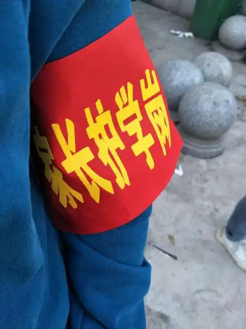 最美的风景——狮小2001班护学岗