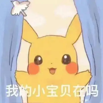 我的小宝贝在吗动漫皮卡丘表情