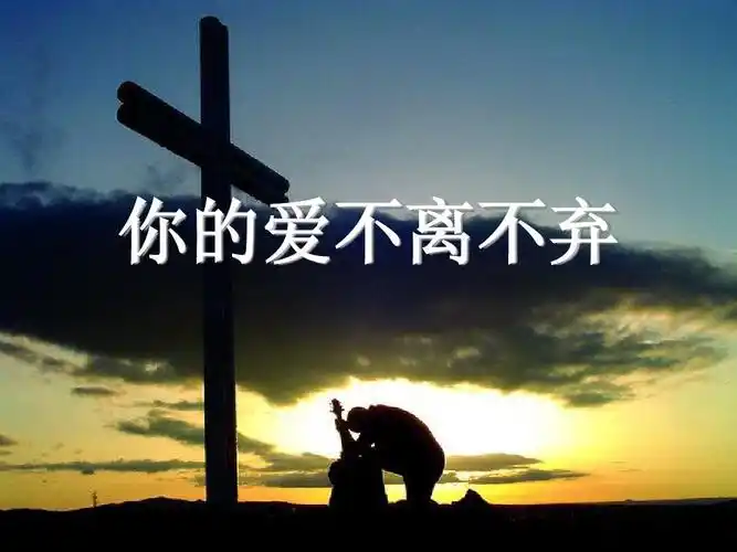 你的爱不离不弃