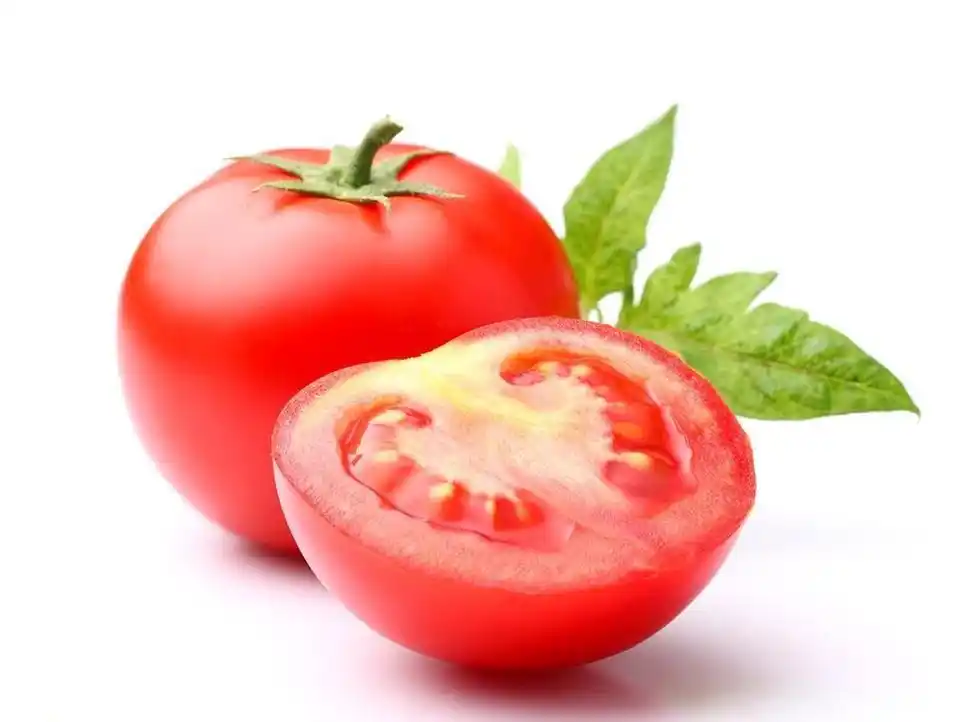 tomato(植物)