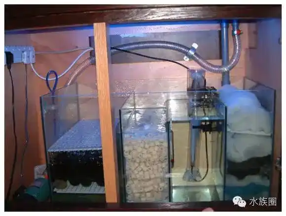 常见鱼缸过滤方式原理及使用方法史上最全