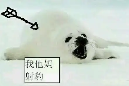 网络用语社保是什么梗社保是什么意思