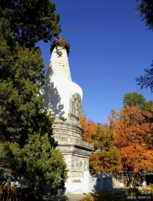 秋游北京西山大觉寺