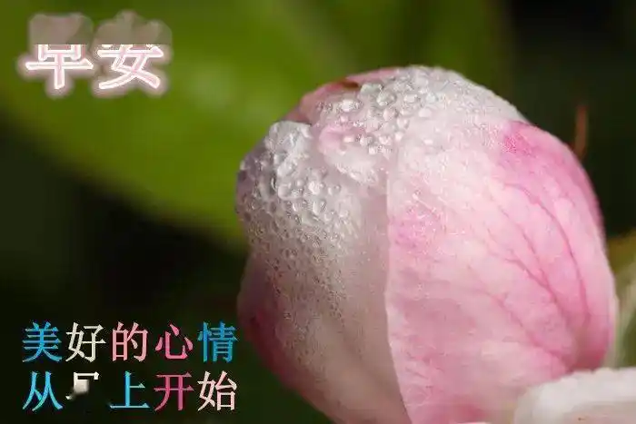 朋友圈最温暖人心的早安问候祝福语录 问候朋友早上好的温馨句子_亲爱