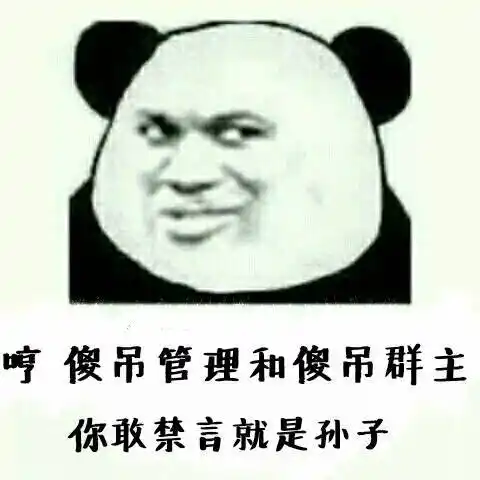 哼,傻屌管理和傻屌群主,你敢禁言就是孙子!