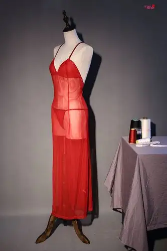 美国selebritee薄纱透明长款晚礼服 ktv小姐高开叉露腿透视礼仪服