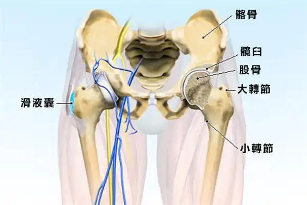屁屁无力,变形都是髋关节紧绷惹得祸!快用7动作松一下