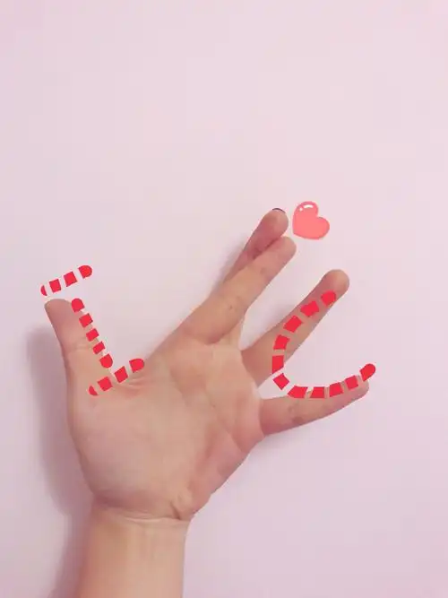 网红手势图爱心卖萌