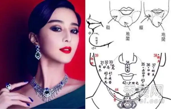 (附其他下巴的面相意义~)