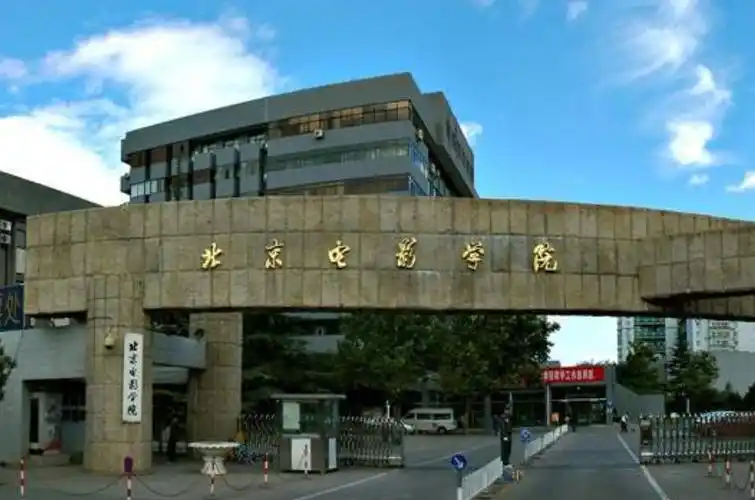 张子枫无缘中戏,压根没去考,她为什么要一门心思考北电?