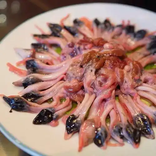 鲸洋甲鱼鞭鱼宝王八团鱼老鳖鞭现杀滋补煲汤水产火18食材中华鳖鞭