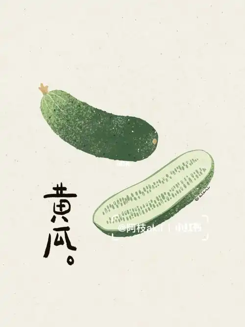 akiidesign|蔬菜手绘系列no. 7黄瓜
