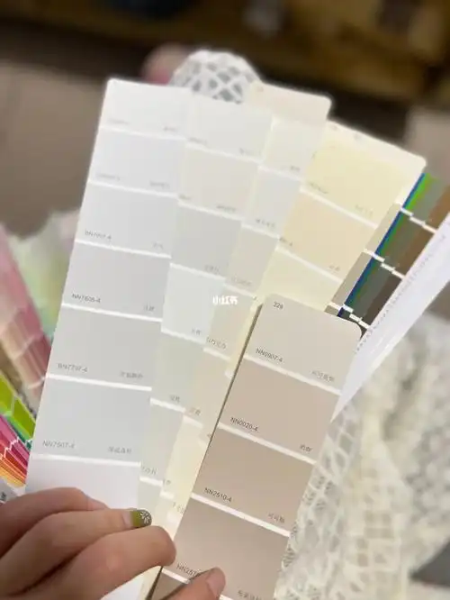 全屋通刷立邦巧克力白好看吗