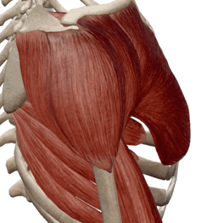 303_317gif 动态图 动图