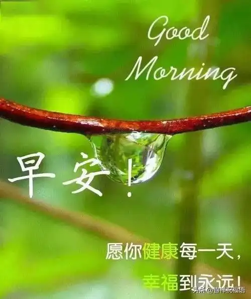 早晨好唯美图早上好的图片表情带问候句子