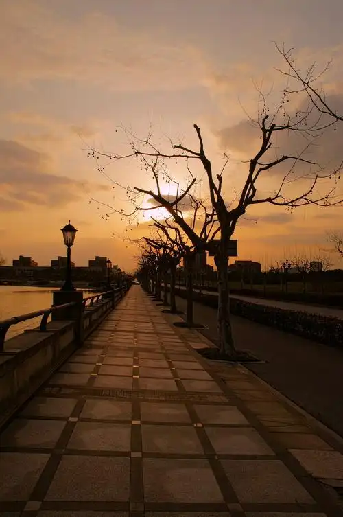 一组逆光风景片(摄于上海交大闵行校区)