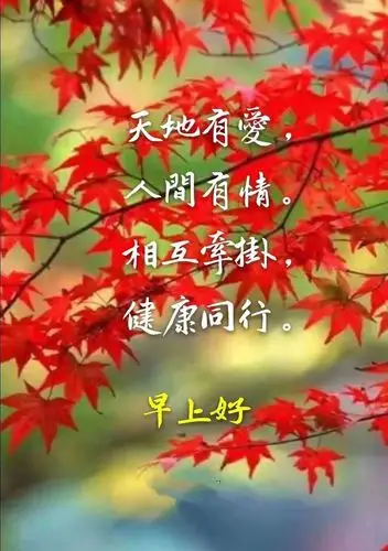 愿所有朋友开心快乐每一天!早上好!