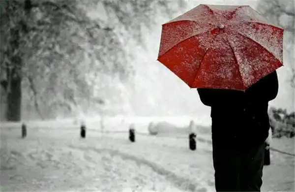 一个人的背影这些年一个人风也过雨也走8