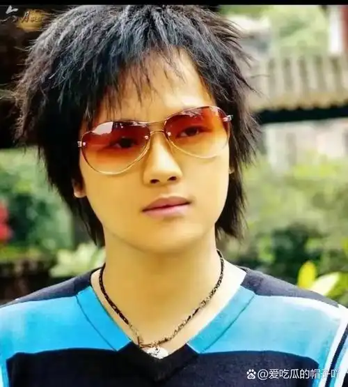 他23岁凭一首歌狂赚2亿,可以媲美张信哲,没想到29岁成为音乐教授.