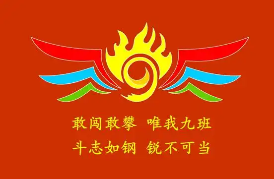 创意设计初一对面的你看过来不一样的淮外班旗