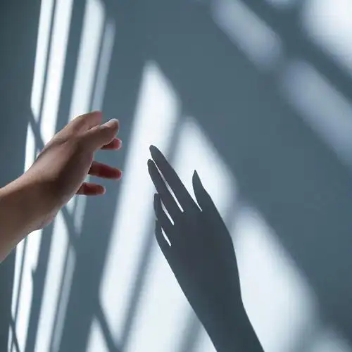 2019最后一个午后,阳光下的影子很美