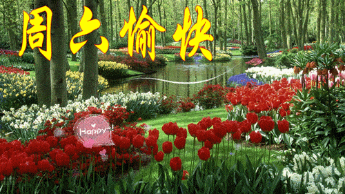 藏头小诗早安周六快乐