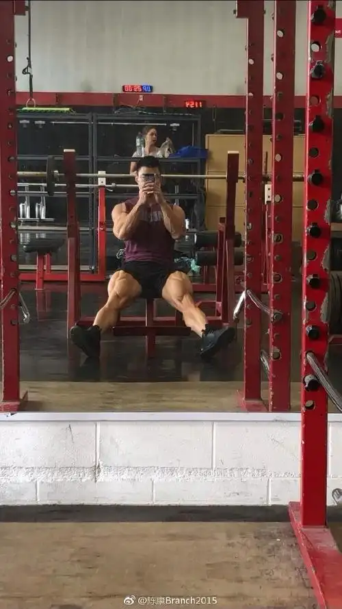 看得一清二楚从整体的比例看来感觉两条大腿上的肌肉量都能占到全身肌