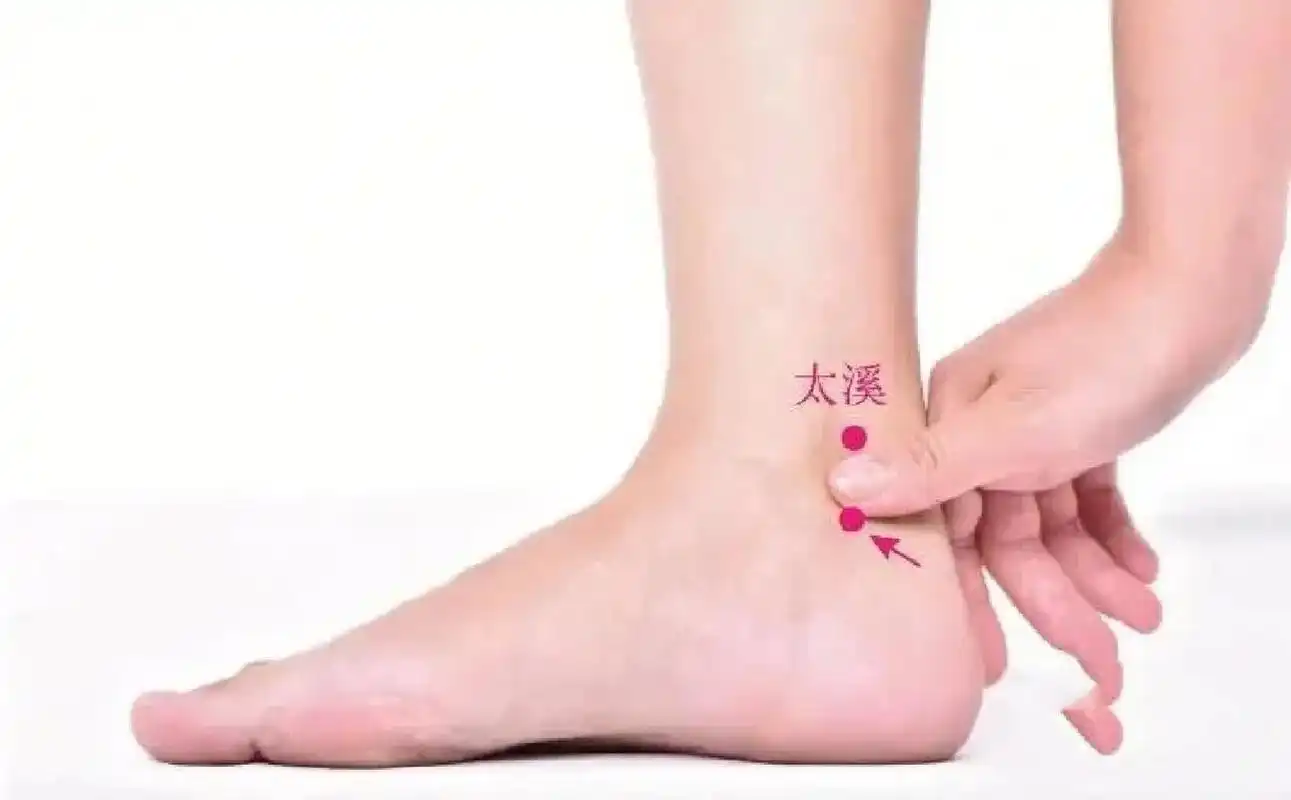 太溪穴的位置 太溪穴的位置在脚踝内侧后跟骨上动脉凹陷处.