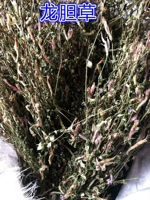 中药材四川野生紫花龙胆草小龙胆草苦胆草护肝草味苦非贵州红花