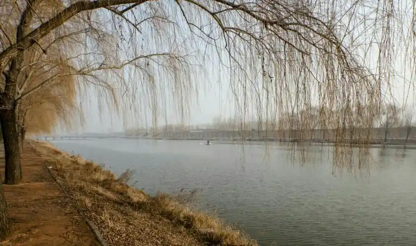 两岸柳色青青,碧水涟涟,风光旖旎,俗称铜梆铁底柳青河,是莒县人的母亲