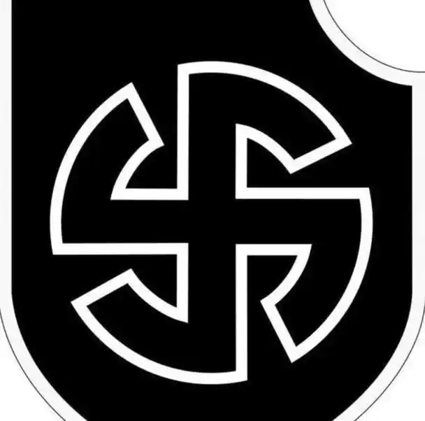 整个欧洲几乎都被禁用,纳粹的标准"卐字"到底是什么意思?